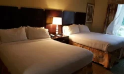 Discovering Unique Stays in Killarney: The Distinctive Charm of Randles Hotel